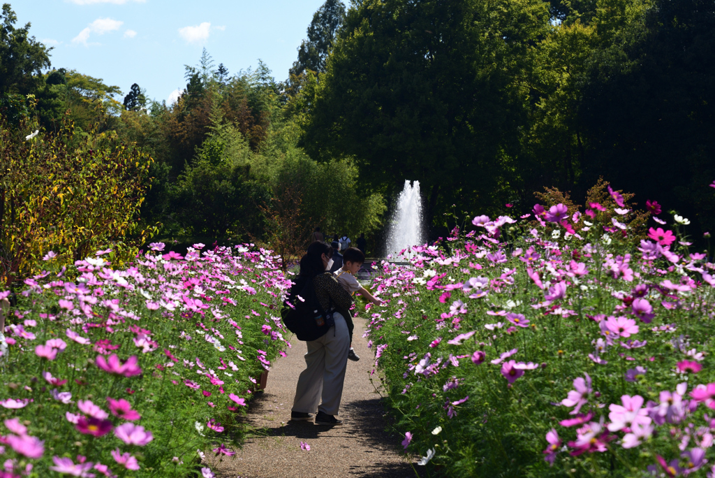 221015京都植物園42