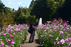 221015京都植物園42
