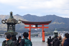 241130b宮島18