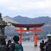241130b宮島18