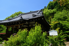 230616b新熊野神社14