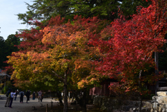 211106b神護寺07