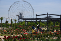 190530万博公園70