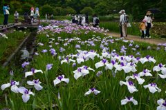230610b長居植物園03相生