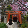 200320d平野神社39