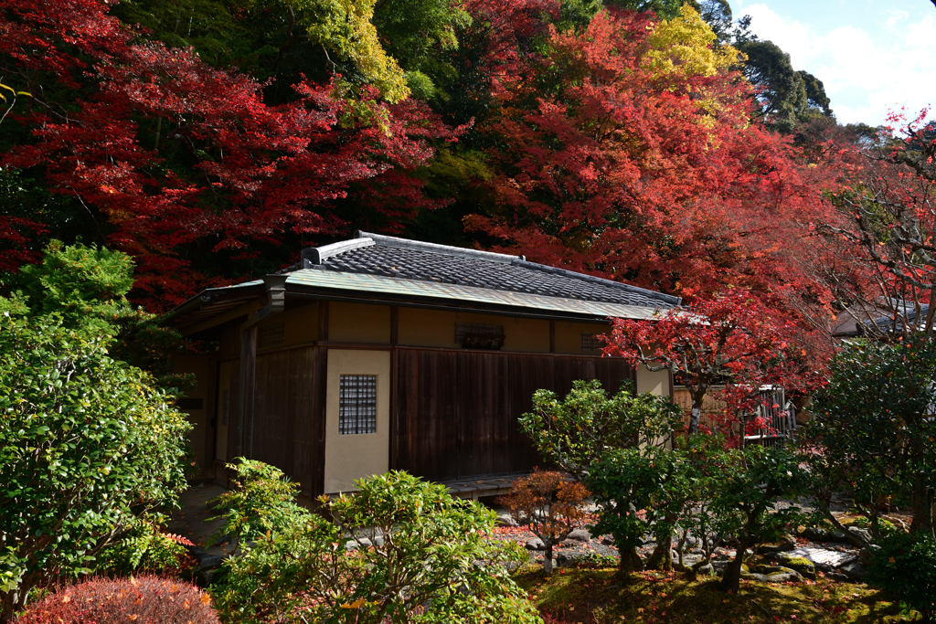 231130a南禅寺47