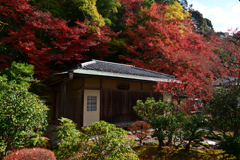 231130a南禅寺47