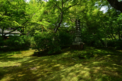 230527b宝厳院34