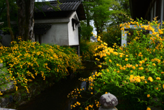 230418b松尾大社12