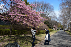 240302鶴見緑地19