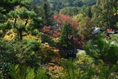 171103c今熊野観音33