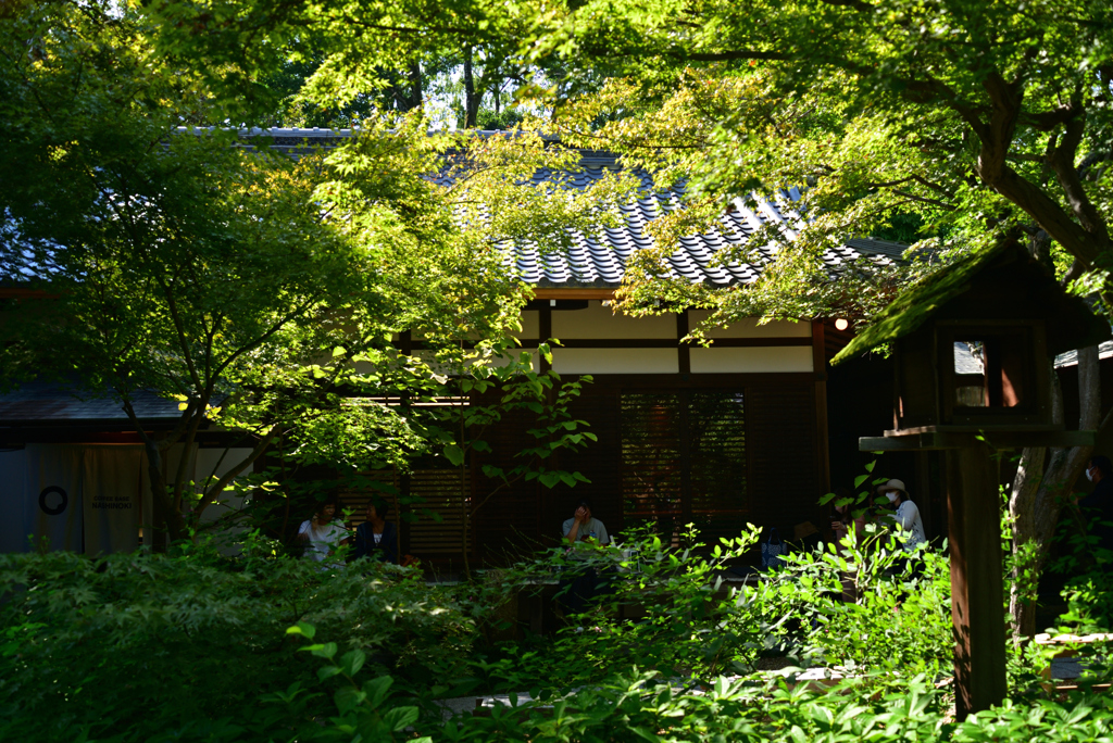 220913b梨木神社19