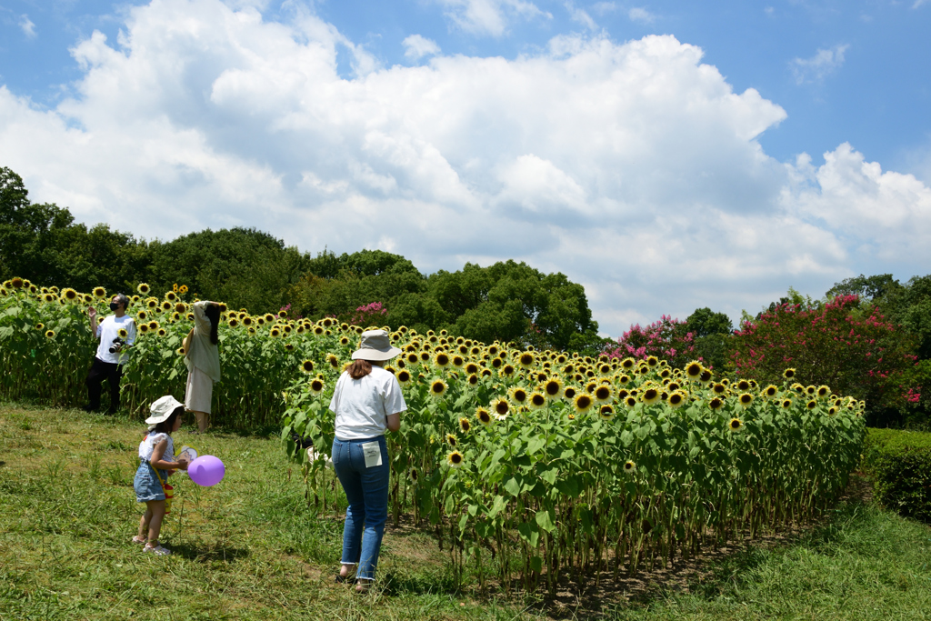 210808馬見丘陵公園63