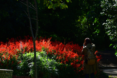 2501028京都植物園27 2501028京都植物園27