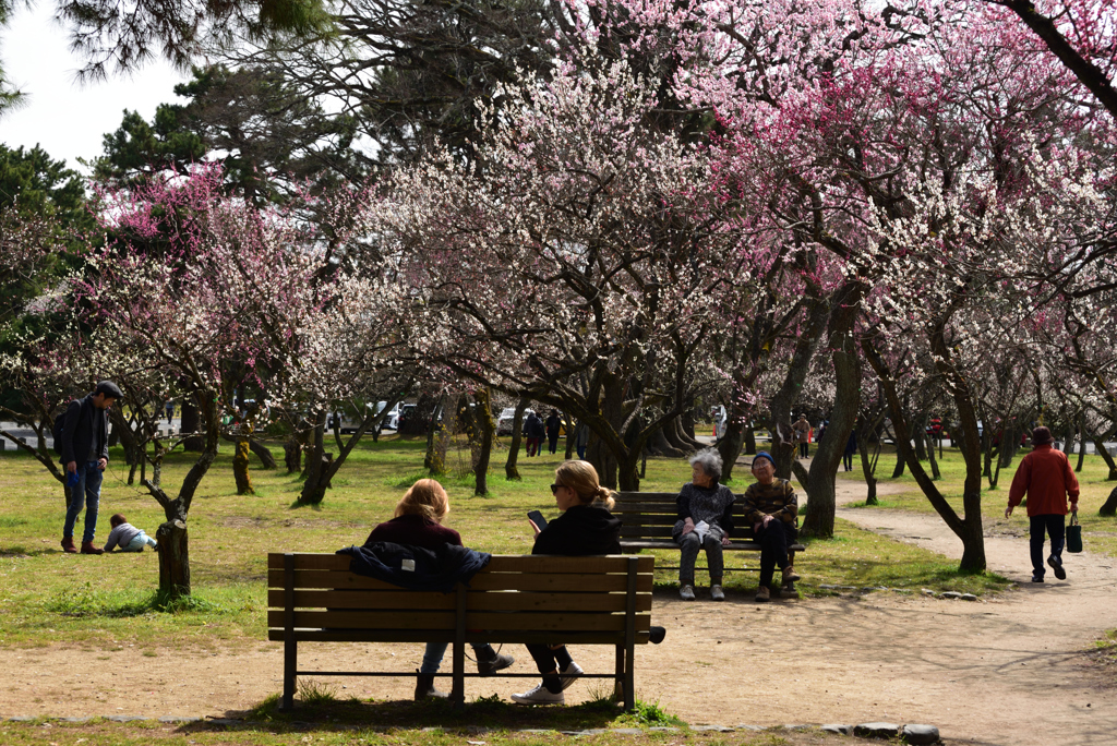 190318d京都御苑10