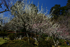 230315石山寺18