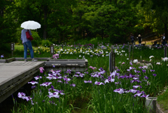 240608万博公園14