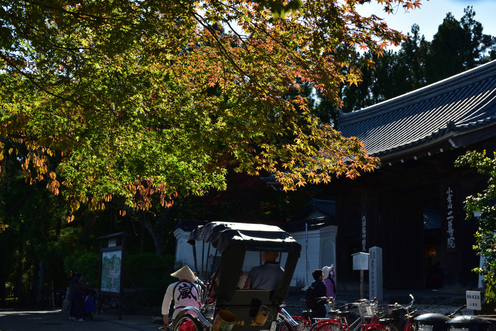 191109b嵯峨野24