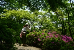 180501三室戸寺51