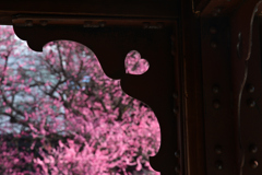 240212b興正寺11