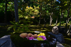 211029b勝林寺36