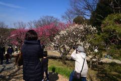 220226万博公園59