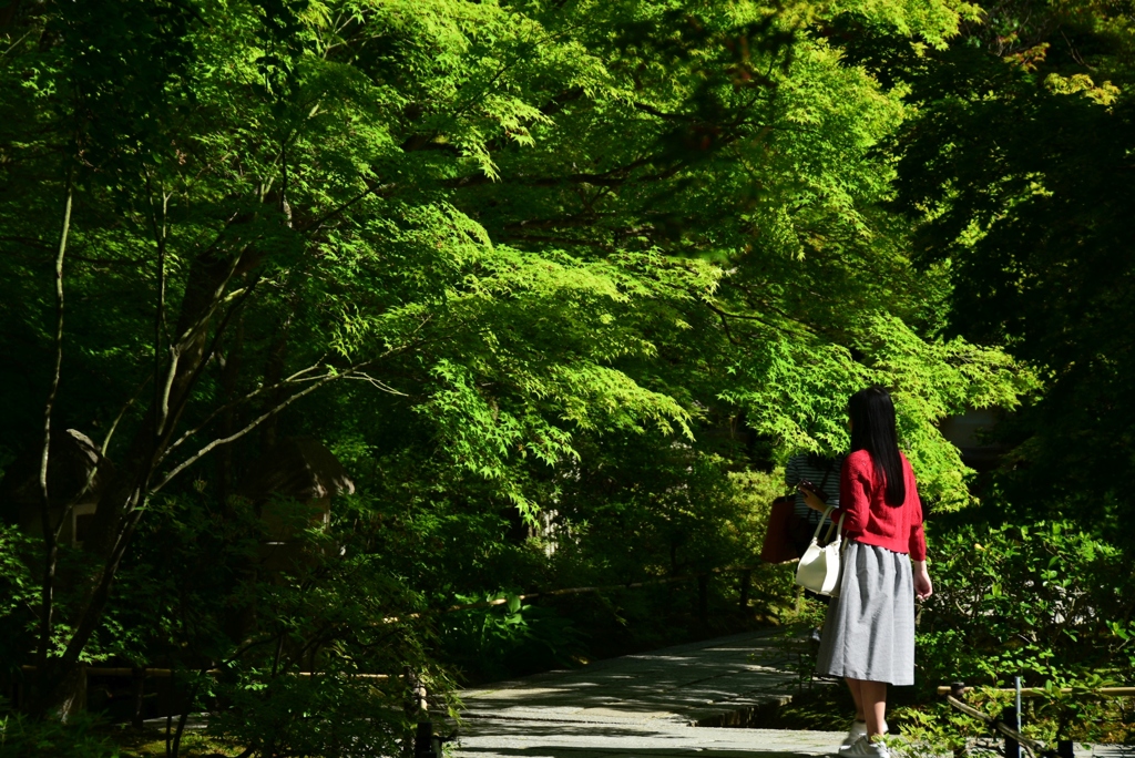 180520d常寂光寺51
