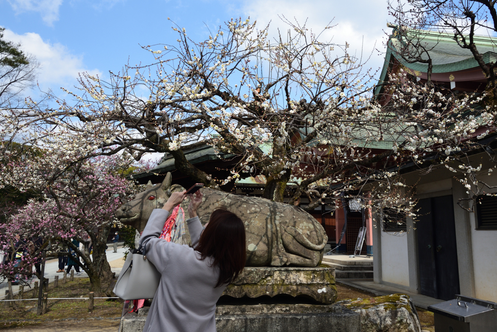210211b北野天満宮72