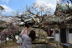 210211b北野天満宮72