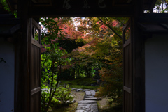 241123b金福寺03