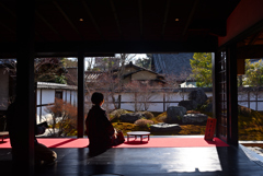 250121b建仁寺西来院05