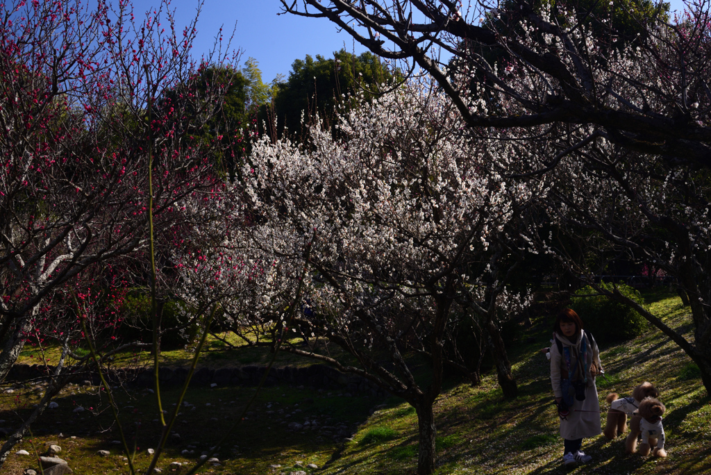 200224a山田池公園27