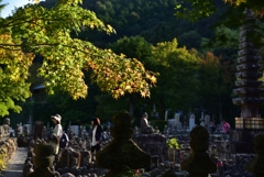 181018d化野念仏寺92