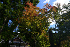 221029f南禅寺16