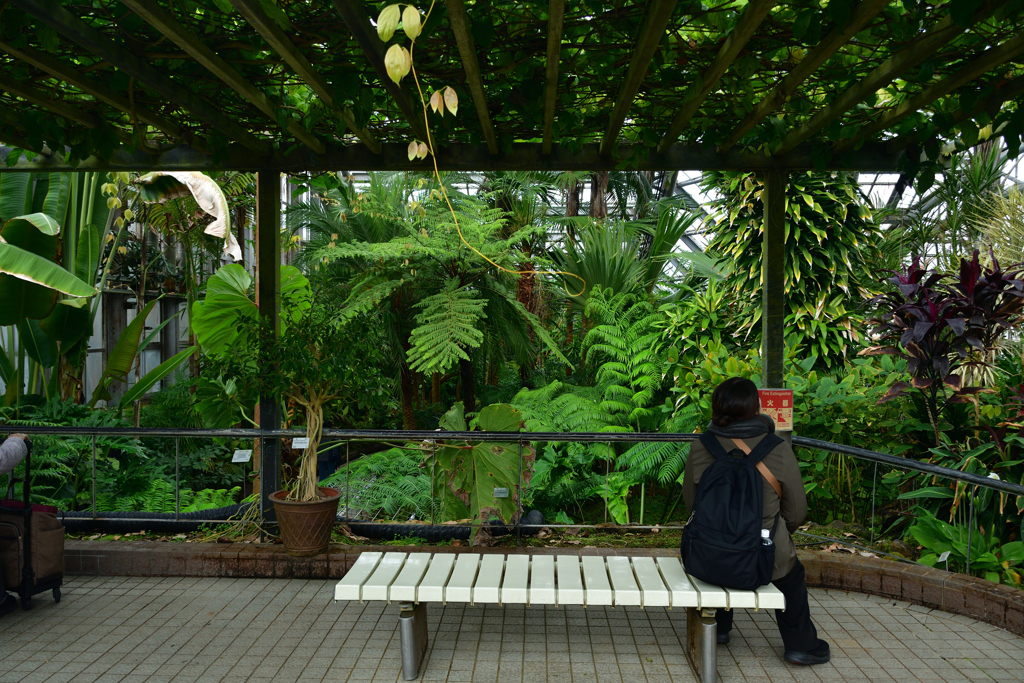 260131b京都植物園11