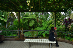 260131b京都植物園11