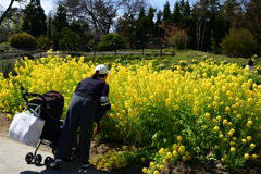 230320a京都植物園34