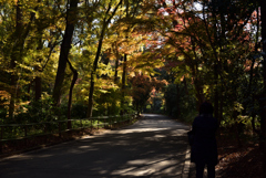 191210b下鴨神社39