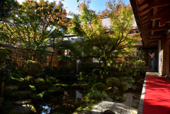 191113b宝泉院23