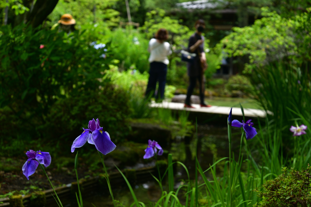 220607平安神宮04