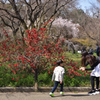 200321京都植物園20