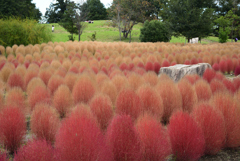 201018馬見丘陵公園48