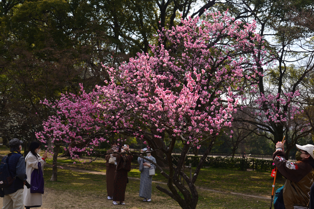 220312b京都御苑09