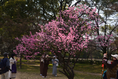 220312b京都御苑09