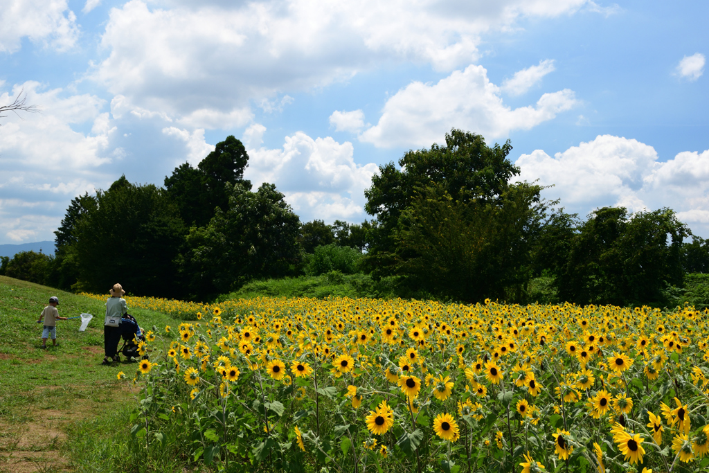 210808馬見丘陵公園53