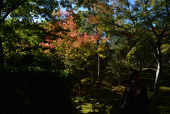 191109a天龍寺44