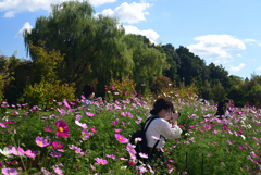 221015京都植物園40