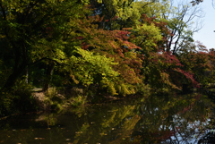 201031京都植物園33