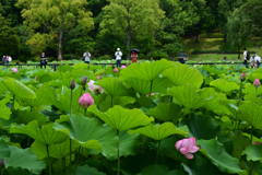 230702万博公園27