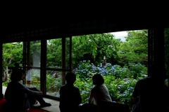 180608b建仁寺45+